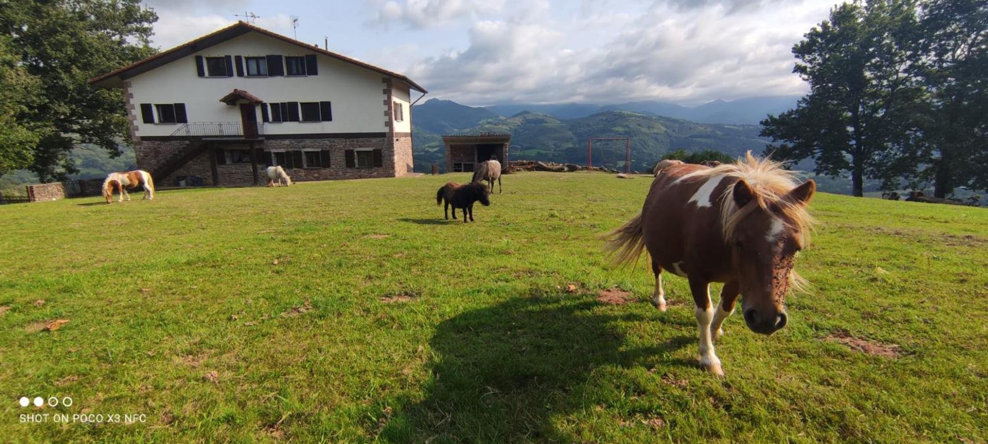 Autxikoborda Pension Elbete Buitenkant foto