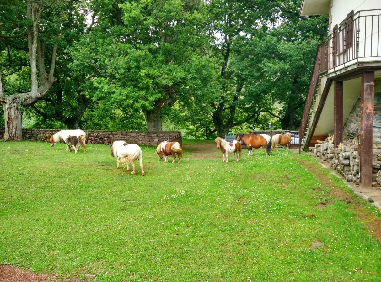 Autxikoborda Pension Elbete Buitenkant foto